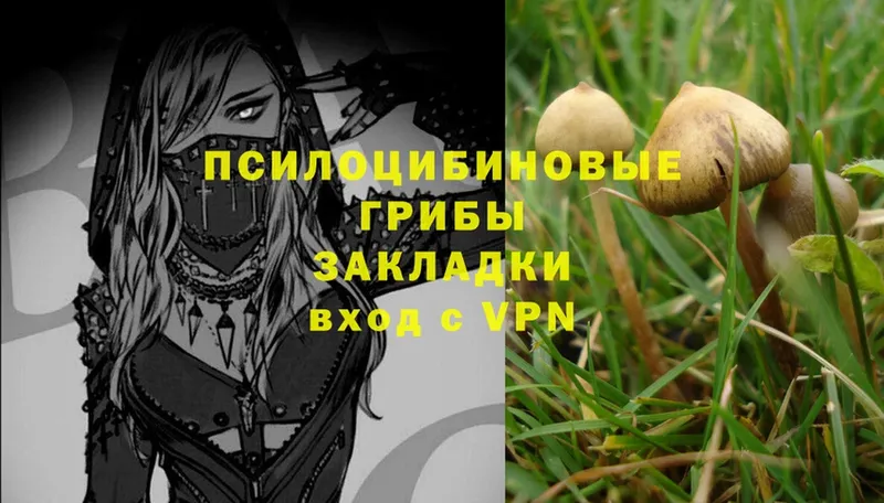 Галлюциногенные грибы Magic Shrooms Зарайск